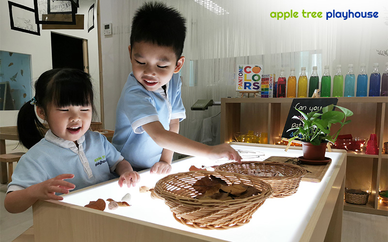 Children discussing about subjects